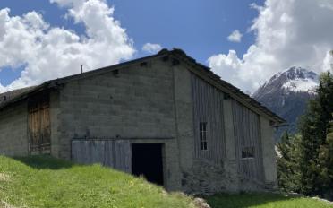 Maison 5.5 pièces - image - 1