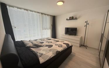 Villa 4.5 Zimmer - image - 13