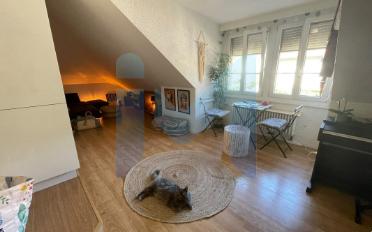 Apartment 2.5 rooms - image - 1