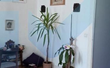 Apartment 4 rooms - image - 2