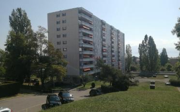 Wohnung 3 Zimmer - image - 2