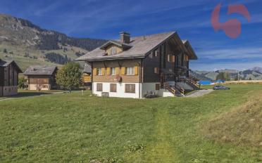 Wohnung 2.5 Zimmer - image - 1