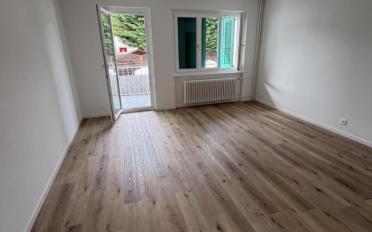 Wohnung 1.5 Zimmer - image - 3
