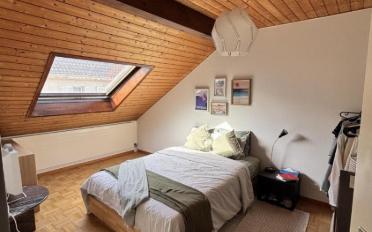 Apartment - image - 4