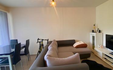 Wohnung 2.5 Zimmer - image - 3