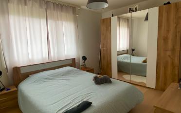 Wohnung 2.5 Zimmer - image - 4