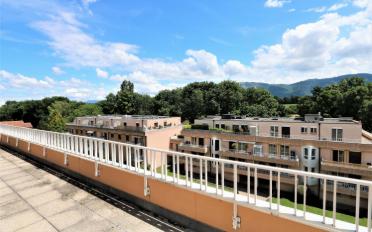 Wohnung 5.5 Zimmer - image - 15