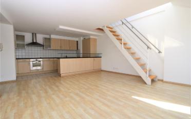 Appartement 4.5 pièces - image - 4