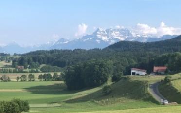 Apartment 2.5 rooms - image - 2