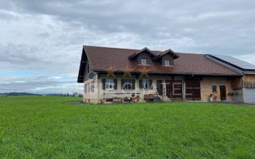 Wohnung 4.5 Zimmer - image - 2