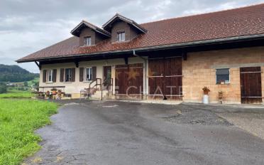 Wohnung 4.5 Zimmer - image - 1