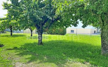Single house 5.5 rooms - image - 2