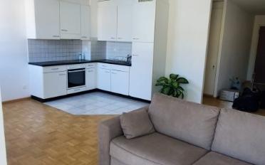 Apartment 1.5 rooms - image - 1