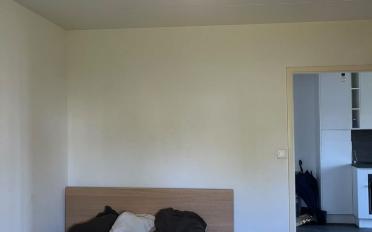 Wohnung 2.5 Zimmer - image - 3