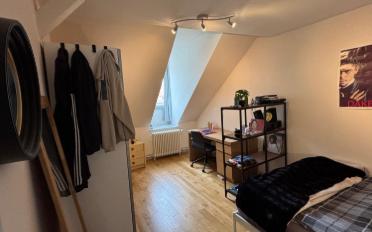 Wohnung 5.5 Zimmer - image - 8
