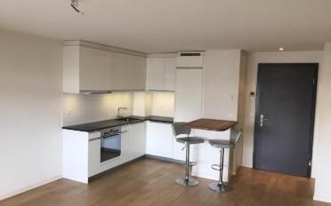 Apartment 2.5 rooms - image - 4