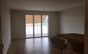 Apartment 2.5 rooms - image - 1
