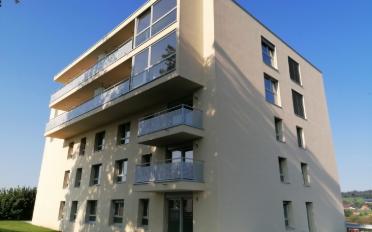 Wohnung 1.5 Zimmer - image - 1