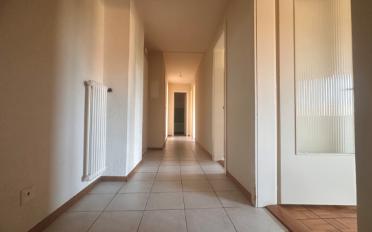 Wohnung 3 Zimmer - image - 6