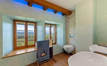 Villa 10 Zimmer - image - 7