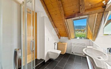 Villa 10 Zimmer - image - 12
