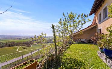Villa 10 Zimmer - image - 4