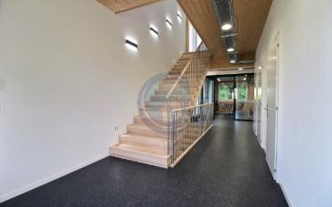 Commercial - image - 6