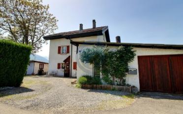 Villa 4 Zimmer - image - 4