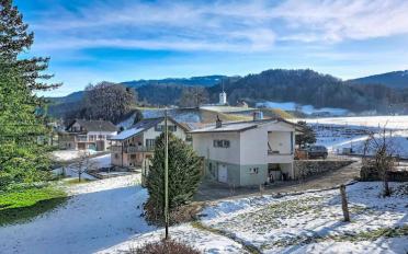 Doppeleinfamilienhaus 5.5 Zimmer - image - 10
