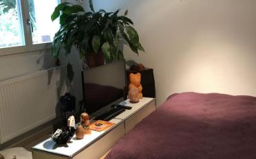 Villa 4 Zimmer - image - 8