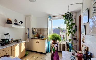Mixed use property 7 rooms - image - 11