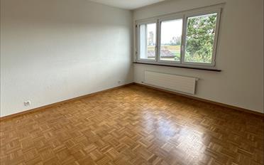 Wohnung 4 Zimmer - image - 5