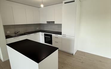 Wohnung 4.5 Zimmer - image - 2