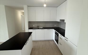 Wohnung 4.5 Zimmer - image - 3