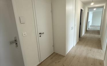 Wohnung 4.5 Zimmer - image - 13