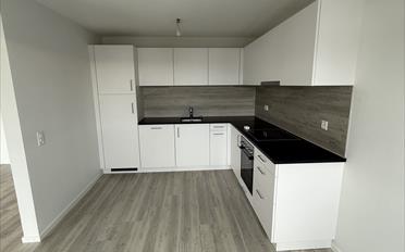 Apartment 3.5 rooms - image - 4