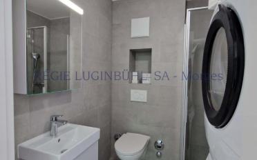 Apartment 3.5 rooms - image - 13