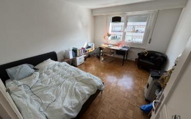 Appartement 2.5 pièces - image - 2