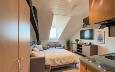 Studio 1 pièce - image - 1