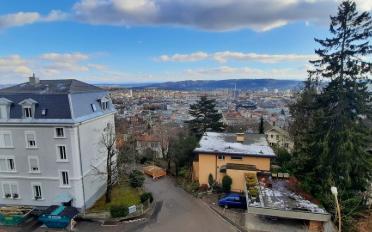 Wohnung 2.5 Zimmer - image - 1