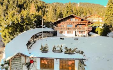 Chalet 8 Zimmer - image - 1