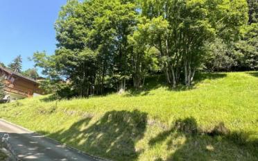 Bauland - image - 2