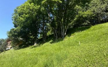 Bauland - image - 4