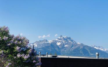 Wohnung 4 Zimmer - image - 3