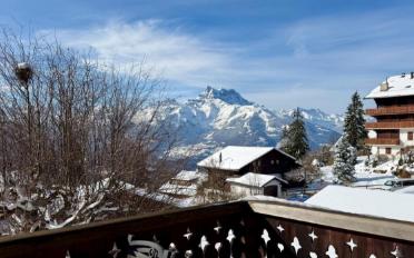 Chalet 11.5 rooms - image - 2