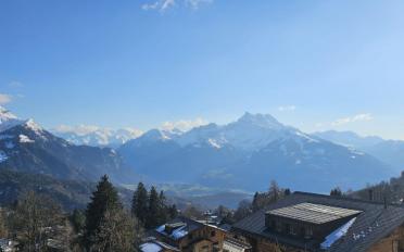 Chalet 7 rooms - image - 13