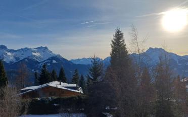Chalet 4 rooms - image - 13