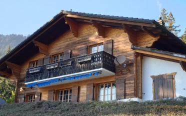 Chalet 4 Zimmer - image - 2