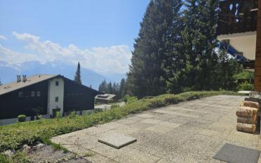 Chalet 4 Zimmer - image - 6