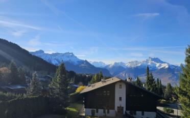Chalet 4 Zimmer - image - 11